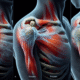 Acupuncture for Effective Relief of Frozen Shoulder Techniques