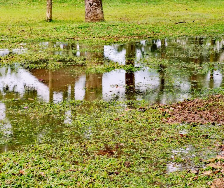 Stormwater Drain Solutions in Wollongong: Key Causes Explained