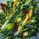Salad Recipes: Fresh and Flavorful Meal Ideas