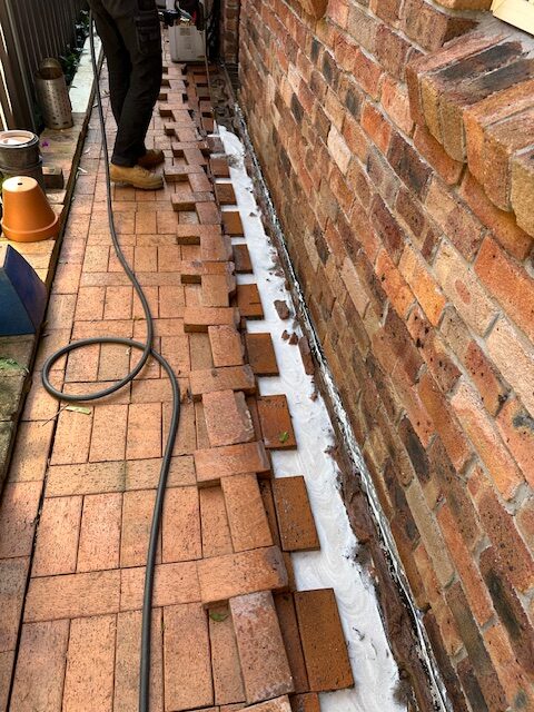 Termite Protection Systems for Reliable Sydney Defence
