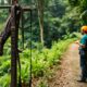 Canopy Tours: Exciting Zip Lining Adventures in Belize
