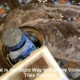 Victorian Tiles Restoration: Essential Techniques for Success
