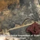 Slate Floor Restoration Timeframe for Australian Homes