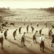 Germiston Golf Club: Premier Spot for Golf Enthusiasts