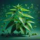 Nettle for Allergies: A Natural Remedy from the UK