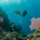 Belize Barrier Reef: The Ultimate 2025 Snorkeling Adventure