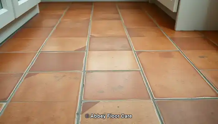 What Causes Terracotta Floors to Get Dirty So Quickly?