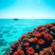 Belize Travel Guide: Essential Location Information and Tips