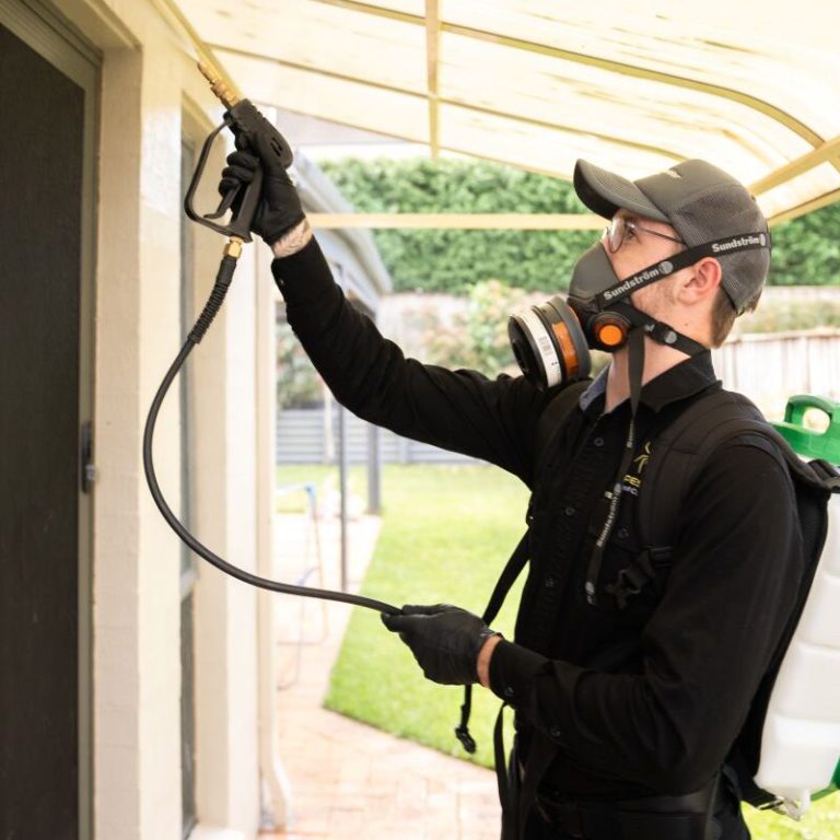 Roof Dusting Pest Control: Understanding Its Rare Necessity