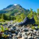 Xero Shoes Coupons for Great Footwear Savings