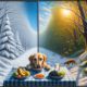 Seasonal Diet Tips for Pets: A Pet Owner’s Guide