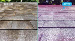 Understanding Low-Pressure House Washing