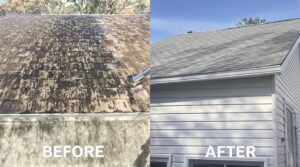 Maximising Home Maintenance: The Vital Role of Soft Washing