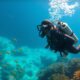 Belize Big Blue Hole Diving Tips and Essential Guide