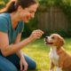 Housebreaking Tips: Training Pups with Effective Schedules