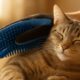 Grooming Gloves for Cats: The Best Fur Care Solution