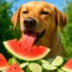 Seasonal Diet Adjustments for Pets: Vital Health Insights