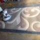 Rug Cleaning Methods: Choosing Steam or Dry by Fibre Type