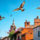 Bird Watching Tips for Enthusiasts in San Miguel de Allende