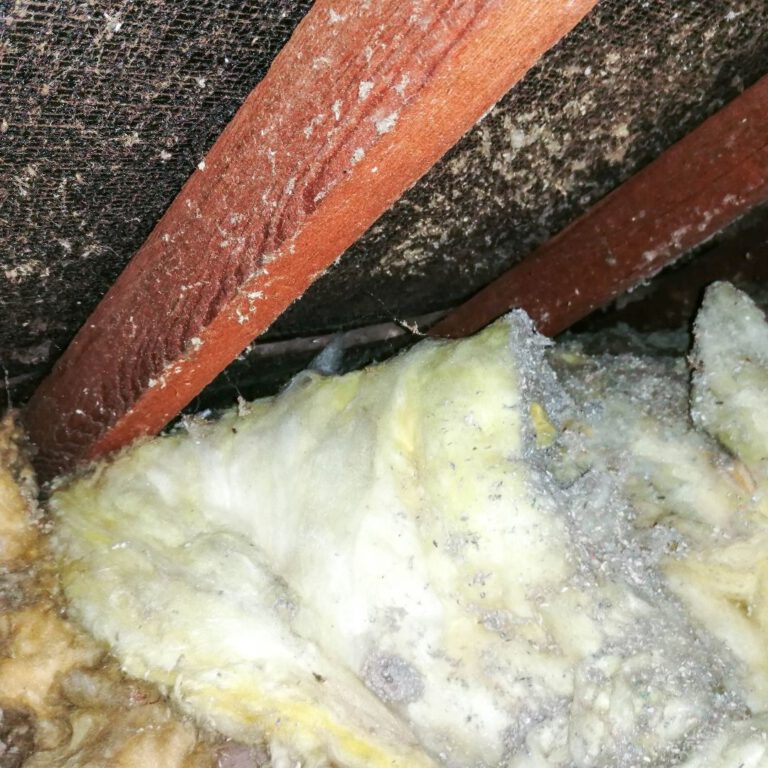 Asbestos Concerns: Top Tips for Choosing a Skip Bin