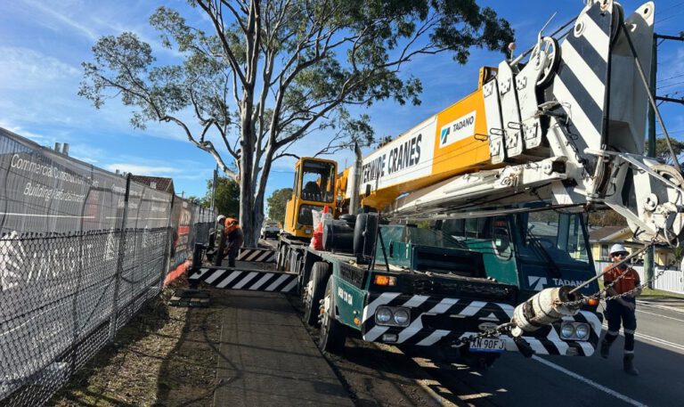 Crane-Assisted Tree Removal Case Study in Edgeworth