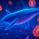 Whale Wallet Monitoring for Effective Asset Tracking