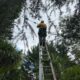 Electrical Defect Notice Response Guide for the Mid North Coast