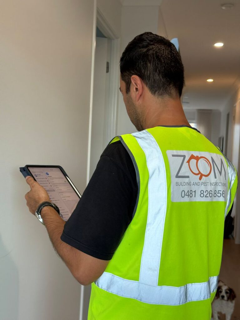 Building and Pest Inspection in Brisbane: A Comparison