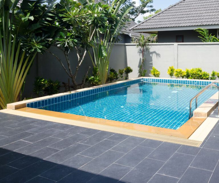 Tree Roots Solutions for Your Pool Area Pipes