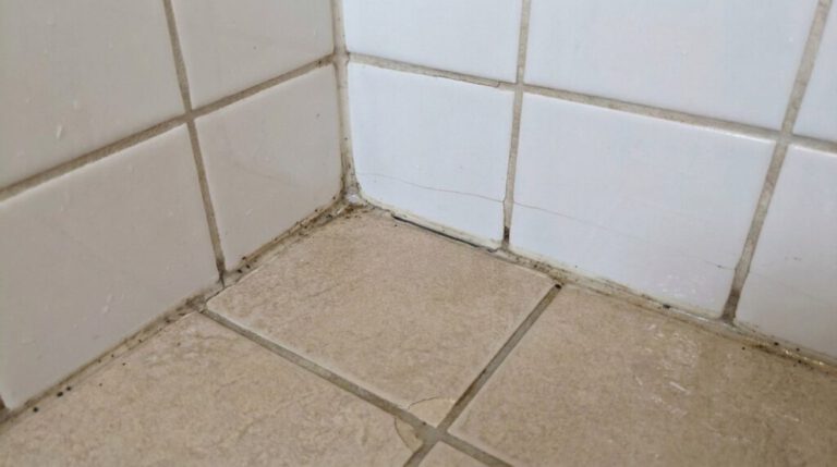 Shower Reseal: Genuine Solution or Just a Quick Fix?