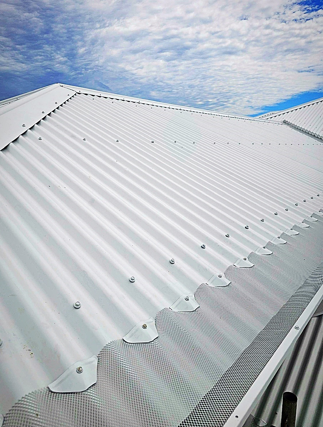 A light-coloured corrugated metal roof with gutter guard mesh along the gutter line